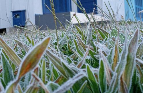 Barracao House | Casa do Joaquim