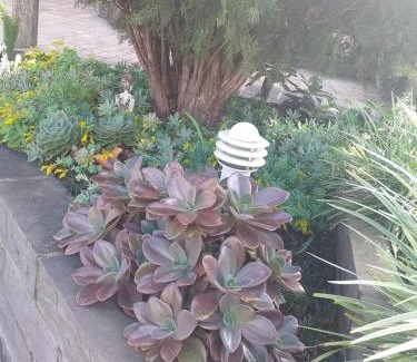 Protasio Alves House | Casa do Tio Cristiano