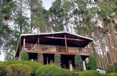 Jardim Europa House | Casa dos Pinheiros Campos do Jordão