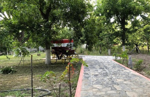 Parras de la Fuente House | CASA ELENA