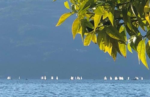 Villavetro House | Casa Elisa