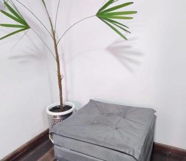 Xaxim House | Casa em rua de comércio em Ctba