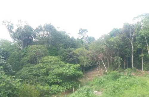 Taruma Apartment | Casa em vila próximo do aeroporto ideal para descansar no intervalo de conexão entre vôos