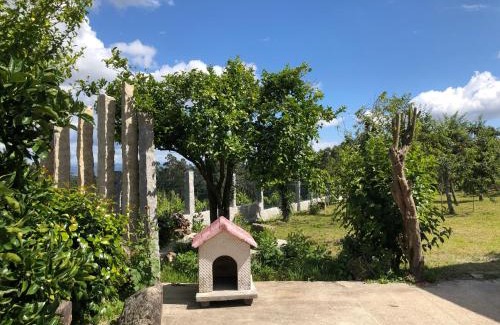 Tomino House | Casa Estrella