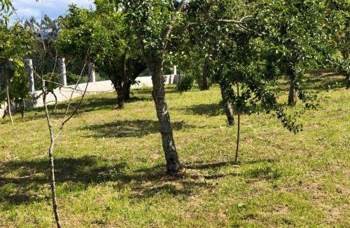 Tomino House | Casa Estrella