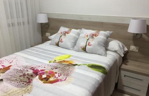 Tomino House | Casa Estrella