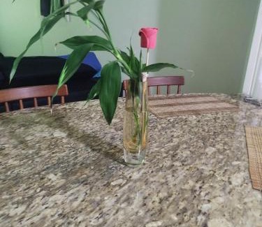 Tupi House | Casa familiar com Piscina Praia Grande