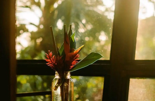 Isla Solarte House | Casa Florecer- bungalow at the edge of the sea