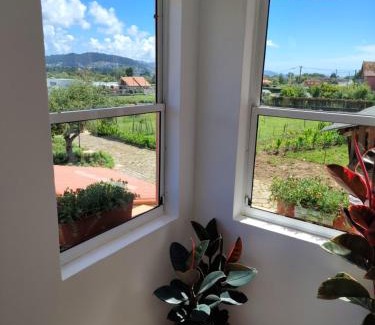 Tabagon House | Casa Folhas Novas