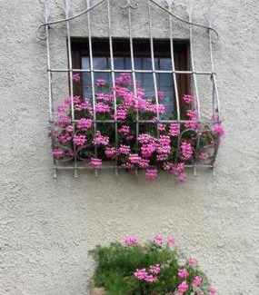 Cavalese Apartment | Casa Gianmoena