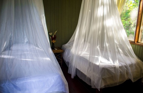 Barra de Pacuare Cabin | Casa Grande Ecolodge at Pacuare Reserve