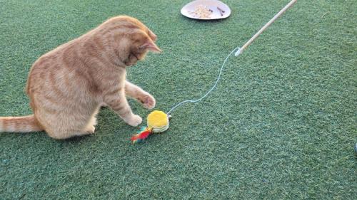 Guisguey House | Casa Guisguey