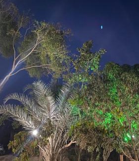 Palmeiras House | Casa integrada com a natureza