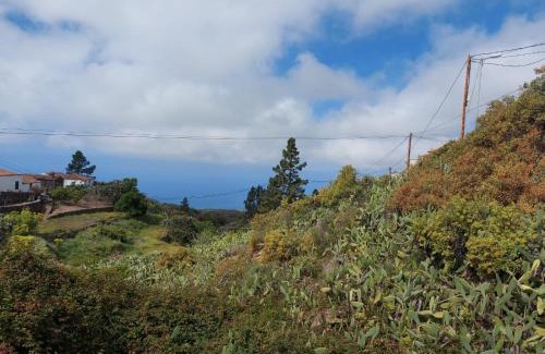 Taucho Apartment | Casa José