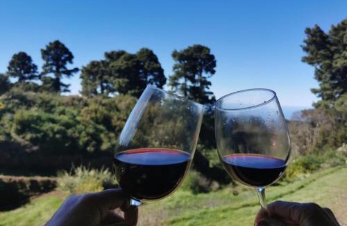 Garafia House | Casa Julián