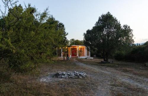 Armadillo de los Infante House | Casa Junípero