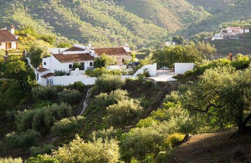 Arenas Cabin | Casa Junius