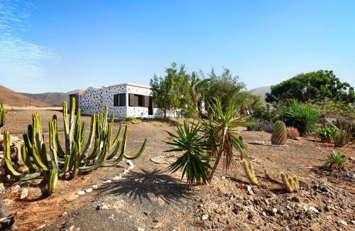 Pajara House | Casa la solapa