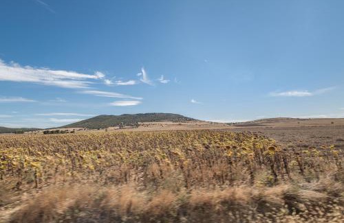 Tornos House | Casa Laberinto