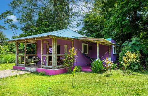 Manzanillo House | Casa Lavanda in tropical jungle garden