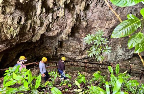 La Trinitaria Ski Chalet | Casa Leslie Lodge - Lagunas de Montebello