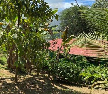 Langostino House | Casa Limon