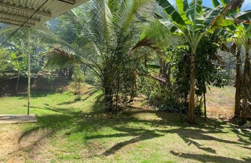 Langostino House | Casa Limon