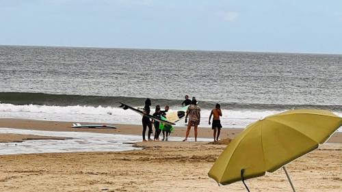 Rocha House | CASA LOBO - La Pedrera -Luxury- Diseño junto al Mar