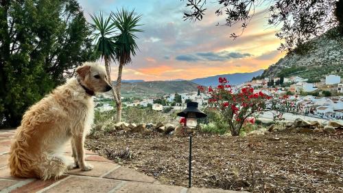 Valle de Abdalagis Apartment | Casa Malacitano, Caminito del Rey