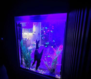 Ibague Apartment | Casa Mantra