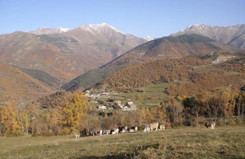 Buira House | Casa Masover