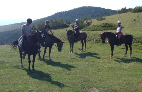 Buira House | Casa Masover