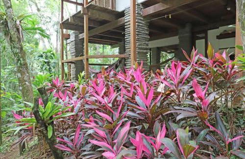 Prumirim House | Casa Mata Prumirim Ubatuba