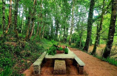 Ponteareas House | Casa MATRIA