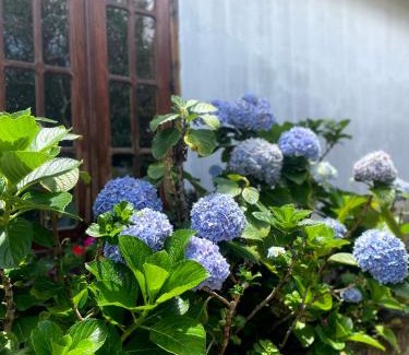 Vale do Capao House | Casa Mirante do Capão