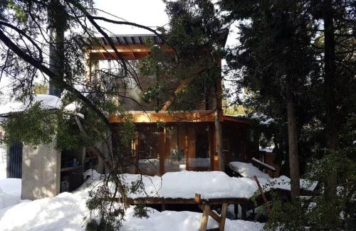 Barrio Las Balsas House | Casa moderna en el bosque