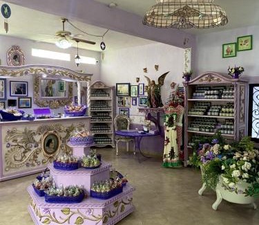 Bernal Hotel | Casa Morada