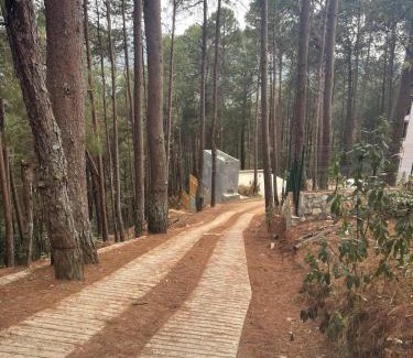 San Cristobal de las Casas Apartment | Casa Nativo rest & chill in a peaceful place