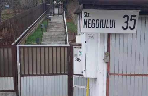 Tirgu Mures House | Casa Negoiu