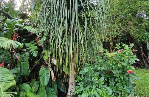 Piracaia House | Casa no campo - Joanópolis