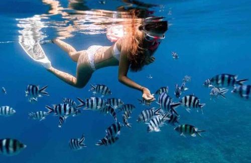 Tulum Villa | Casa Ohana~3BR w/Private Pool & Rooftop Jacuzzi, WiFi, Gym, & 5 km to Beach