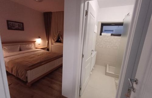 Rasnov House | Casa Ovidiu Rasnov