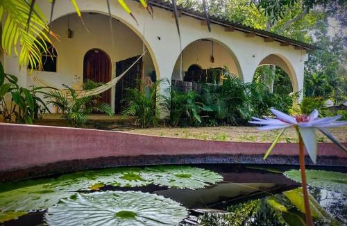 Troncones House | Casa pájaros- Habitación Colibri