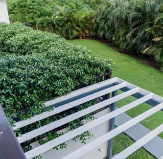 Pembroke House | Casa Palmera