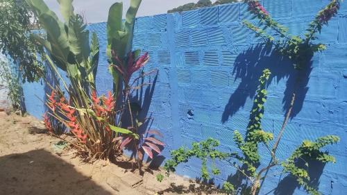 Saubara House | Casa praia cabuçu - azul com piscina