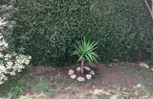 La Reja House | Casa quinta Los Mellis