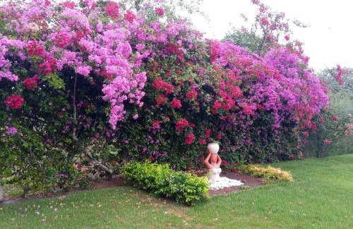 Maria Auxiliadora House | Casa Rústica em Gravatá