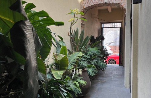 Downtown Queretaro House | Casa Realm en el Corazon de Queretaro, un Lugar con Estilo y Confort