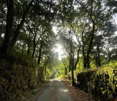 Beariz Ski Chalet | Casa Redonda