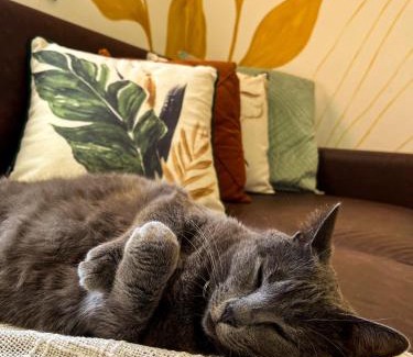 Campeche House | Casa RESPIRO - Hospedagem para mulheres